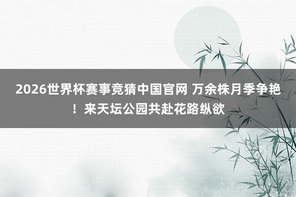 2026世界杯赛事竞猜中国官网 万余株月季争艳！来天坛公园共赴花路纵欲