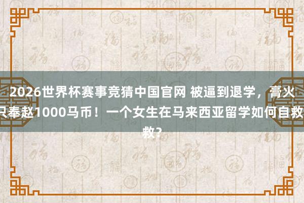 2026世界杯赛事竞猜中国官网 被逼到退学，膏火只奉赵1000马币！一个女生在马来西亚留学如何自救？