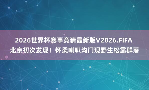 2026世界杯赛事竞猜最新版V2026.FIFA 北京初次发现！怀柔喇叭沟门现野生松露群落