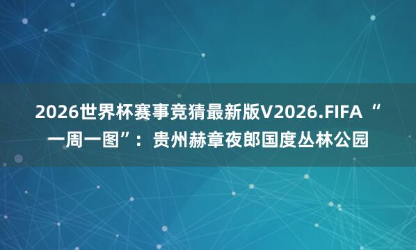 2026世界杯赛事竞猜最新版V2026.FIFA “一周一图”：贵州赫章夜郎国度丛林公园