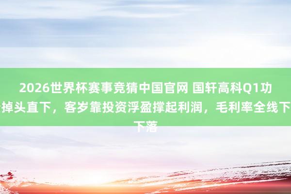 2026世界杯赛事竞猜中国官网 国轩高科Q1功绩掉头直下,客岁靠投资浮盈撑起利润,毛利率全线下落