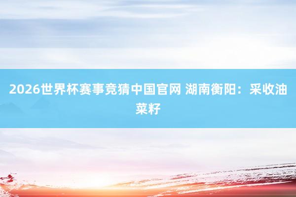 2026世界杯赛事竞猜中国官网 湖南衡阳:采收油菜籽