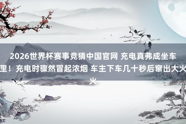 2026世界杯赛事竞猜中国官网 充电真弗成坐车里！充电时骤然冒起浓烟 车主下车几十秒后窜出大火