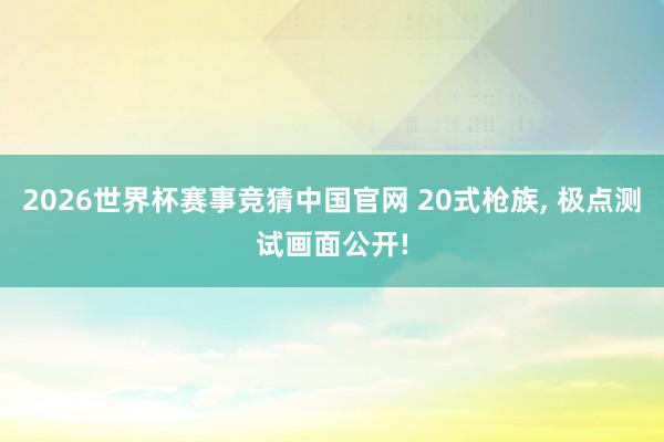 2026世界杯赛事竞猜中国官网 20式枪族， 极点测试画面公开!
