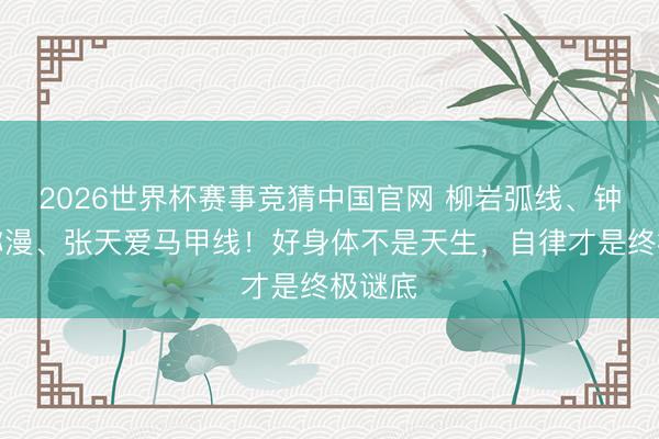 2026世界杯赛事竞猜中国官网 柳岩弧线、钟丽缇弥漫、张天爱马甲线！好身体不是天生，自律才是终极谜底