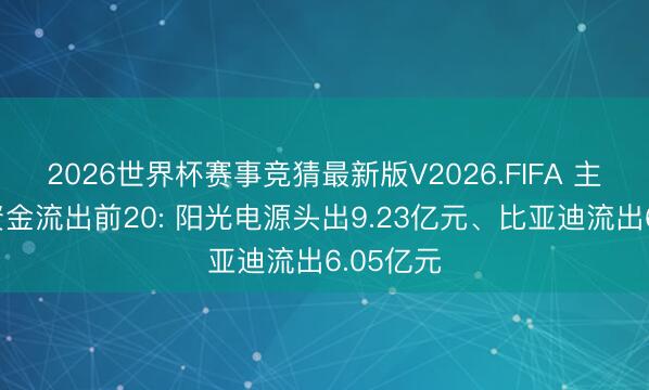 2026世界杯赛事竞猜最新版V2026.FIFA 主力个股资金流出前20: 阳光电源头出9.23亿元、比亚迪流出6.05亿元
